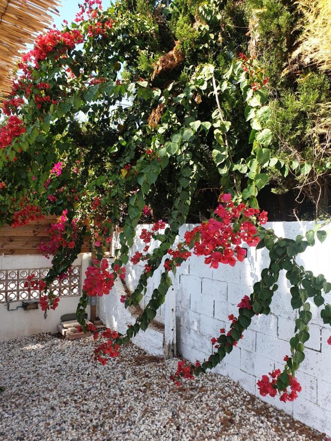 Villa Alicante Sunbeach El Campello Exterior photo